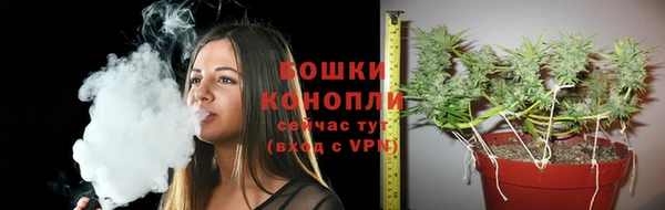молекула духа Нязепетровск