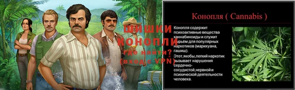 винт Нягань